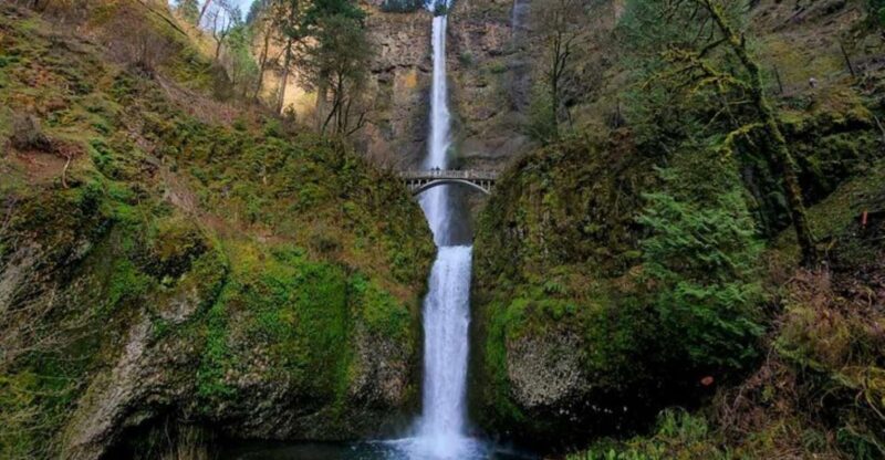From Portland: Half-Day Columbia River Gorge Waterfalls Tour - Frequently Asked Questions (FAQs)
