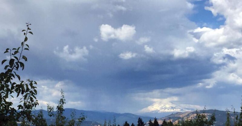 From Portland: Mt Hood, Hood River Valley and Columbia Gorge - From Portland: Mt Hood, Hood River Valley and Columbia Gorge — A Detailed Review