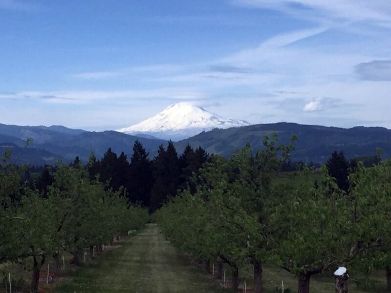 From Portland: Mt Hood, Hood River Valley and Columbia Gorge - The Sum Up: Who Will Love This Tour?