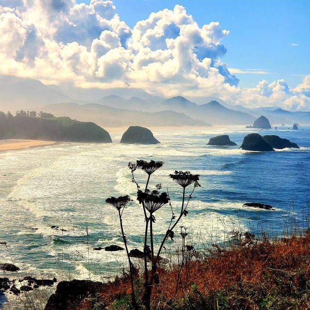 From Portland: Oregon Coast Adventure Day Tour with Pickup - A Deep Dive into the Oregon Coast Day Tour