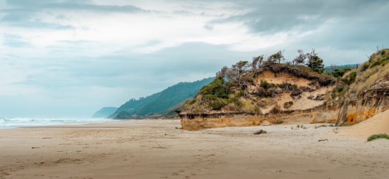 From Portland: Oregon Coast Day Trip Cannon Beach Area - Who Would Love This Tour?