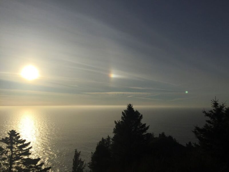 From Portland: Oregon Coast Day Trip to Three Capes Loop - Practicalities and What to Expect During the Day