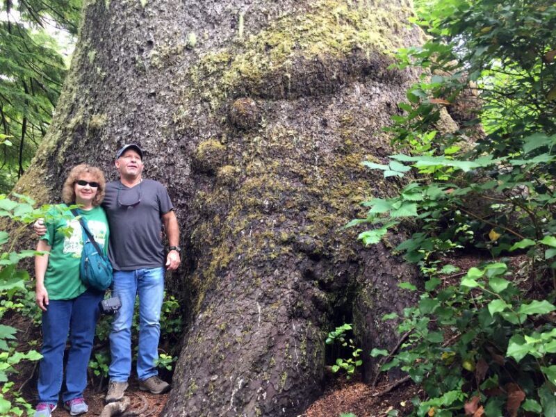From Portland: Oregon Coast Day Trip to Three Capes Loop - Who Will Love This Tour?