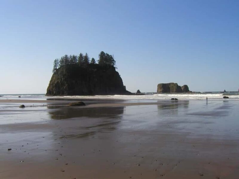 From Portland: Oregon Coast Scenic Day Tour - The Charm of Cannon Beach