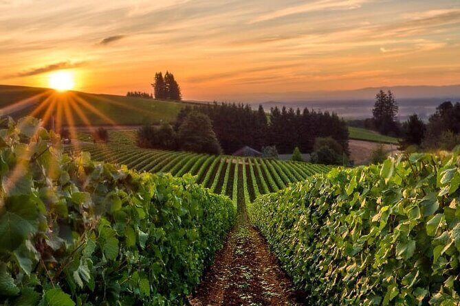 From Portland Private Willamette Valley Wine Tour - A Close-Up Look at the Portland Private Willamette Valley Wine Tour