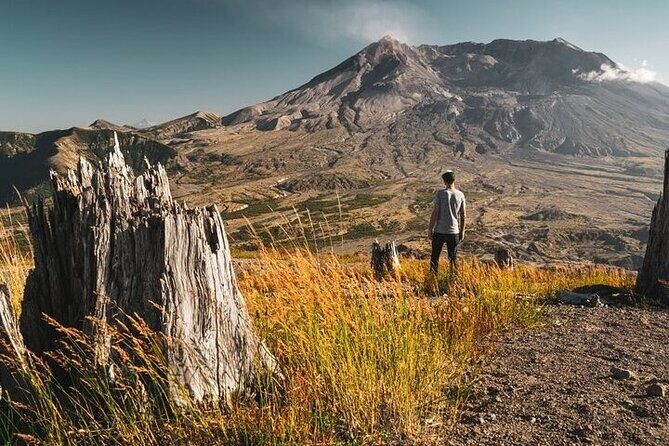From Portland to Mt. Saint Helen Tour in a Small Group - Analyzing the Itinerary and What You’ll Experience