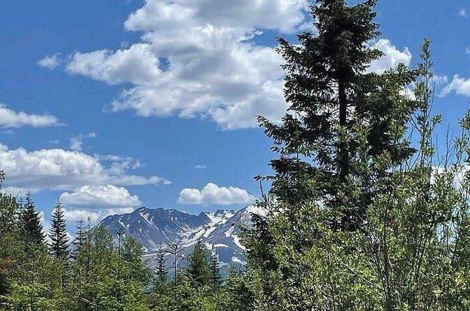 From Portland to Mt. Saint Helen Tour in a Small Group - Who Will Enjoy This Tour?