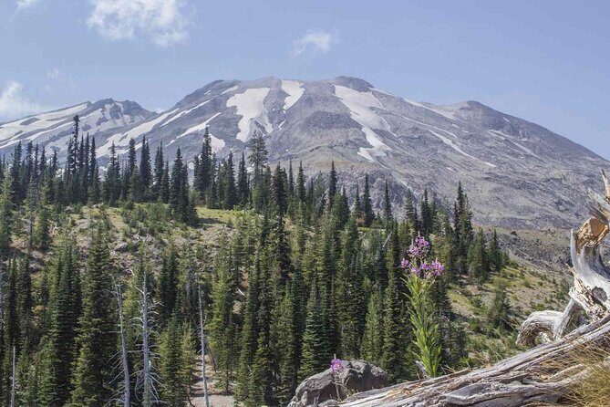 From Portland to Mt. Saint Helen Tour in a small group - Key Points