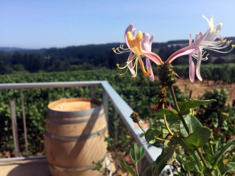 From Portland: Willamette Valley Character Wineries - Key Points