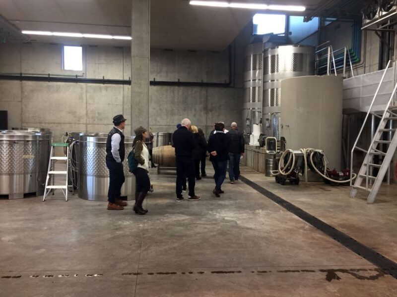 From Portland: Willamette Valley Character Wineries - Who Will Love This Tour?