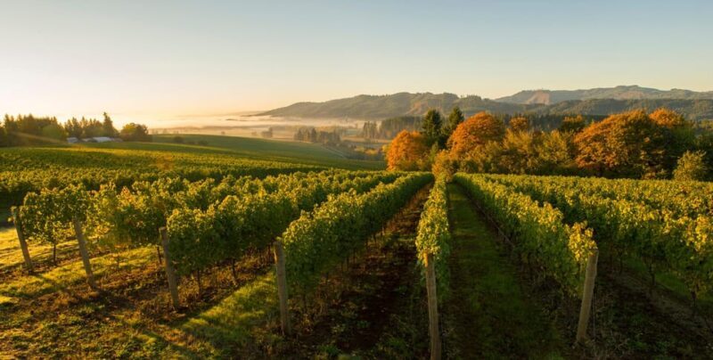 From Portland: Willamette Valley Wine Tasting Tour - Practical Aspects: Comfort, Cost, and Flexibility