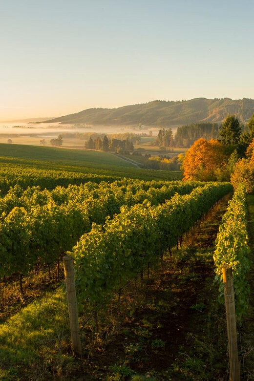 From Portland: Willamette Valley Wine Tasting Tour - Frequently Asked Questions