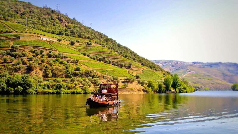From Porto: 2 Wine Regions, Farm Lunch, and Boat Ride - Key Points