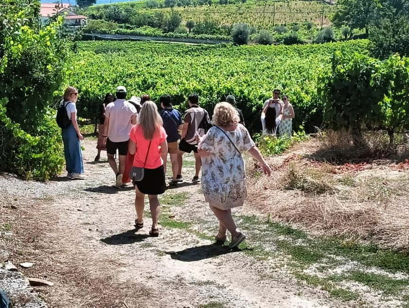 From Porto: 2 Wine Regions, Farm Lunch, and Boat Ride - Value for Money
