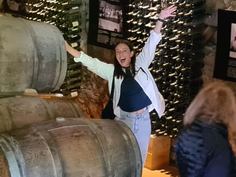 From Porto: 2 Wine Regions, Farm Lunch, and Boat Ride - Who Should Consider This Tour?