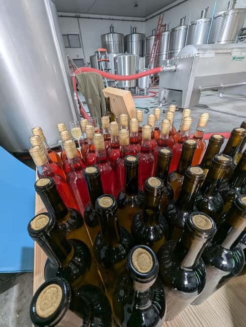 From Porto: 2 Wine Regions, Farm-to-Table Lunch & Boat - Final Thoughts