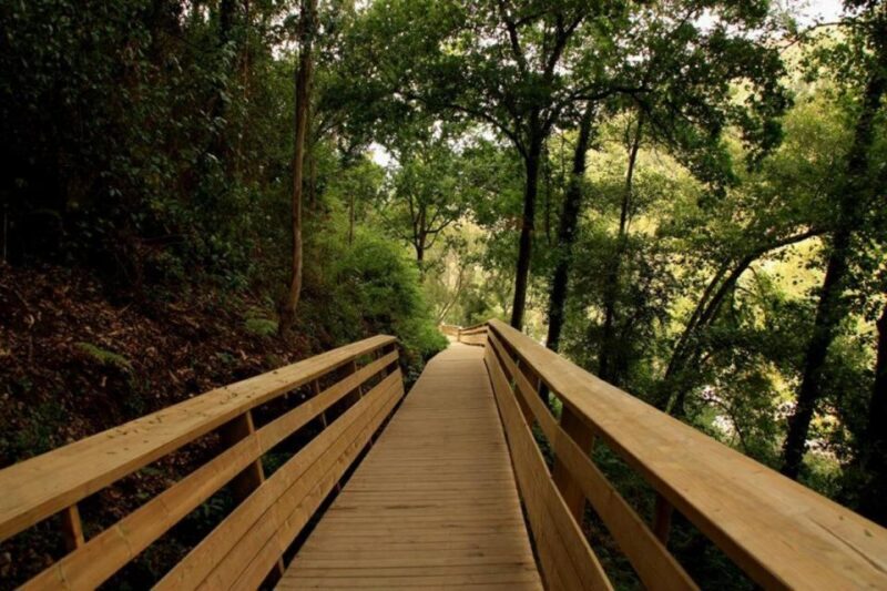 From Porto: 516 Arouca Bridge and Paiva Walkways Guided Tour - Crossing the 516 Arouca Suspension Bridge