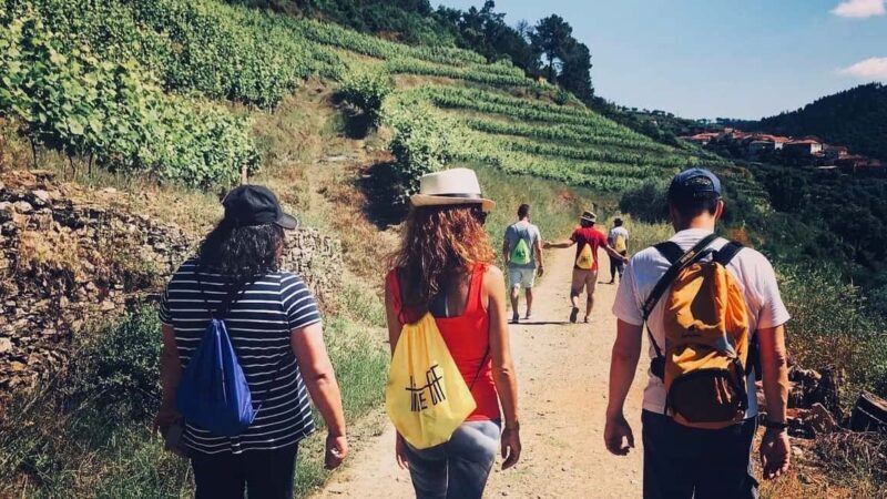 From Porto a private experience to Niepoort with lunch there - A Truly Local Portuguese Lunch with Exceptional Wines