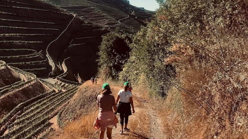 From Porto a private experience to Niepoort with lunch there - The Sum Up