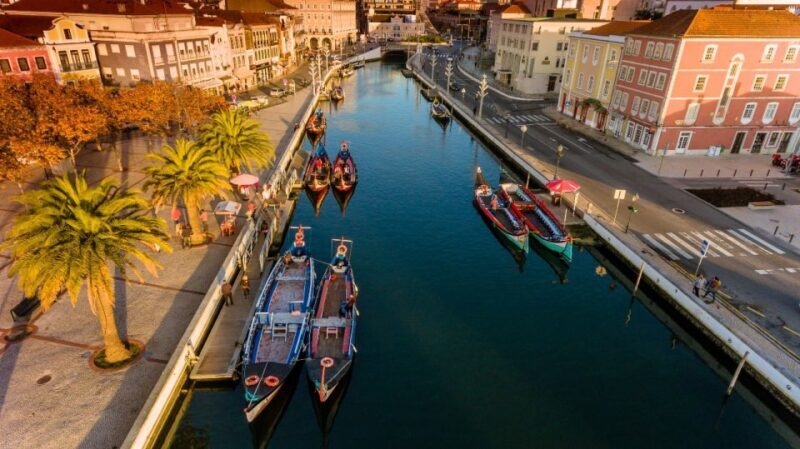 From Porto: Aveiro and Coimbra Private Tour - Discovering the Charm of Portugal: A Detailed Review of the Porto: Aveiro and Coimbra Private Tour
