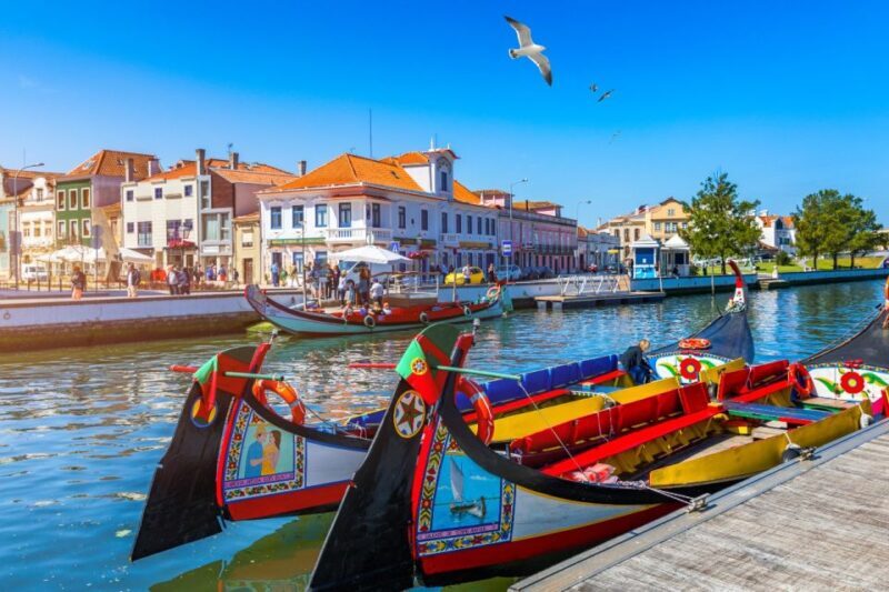 From Porto: Aveiro and Coimbra Private Tour - Authenticity and Expert Insights