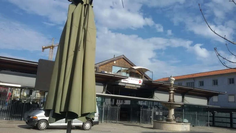 From Porto: Aveiro & Coimbra Tour with Moliceiro Boat Cruise - An In-Depth Look at the Tour Experience