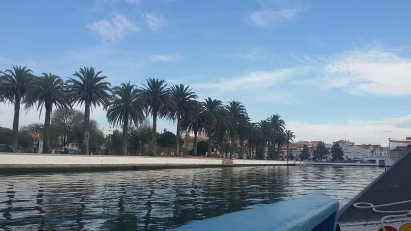 From Porto: Aveiro & Coimbra Tour with Moliceiro Boat Cruise - Authentic Insights from Reviewers