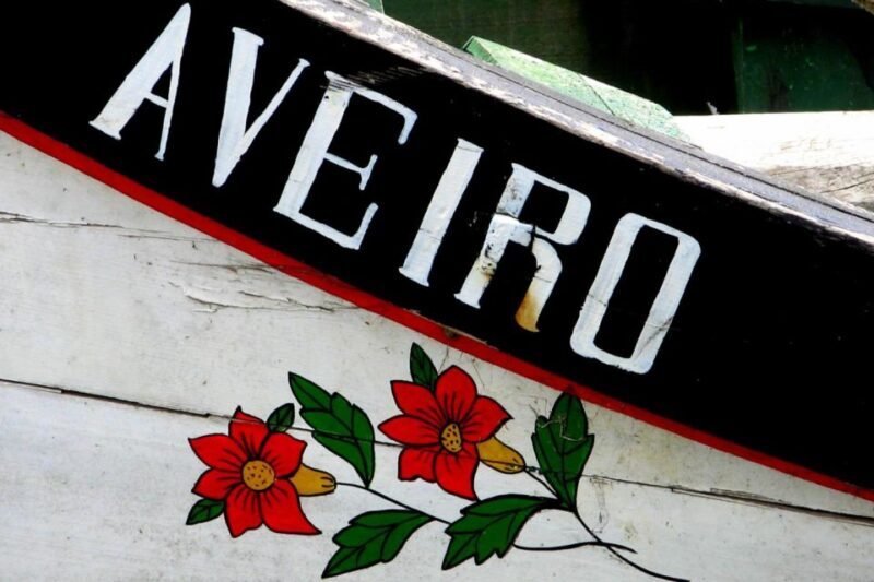 From Porto: Aveiro Half-Day Tour with 1-Hour Cruise - The Journey from Porto to Aveiro