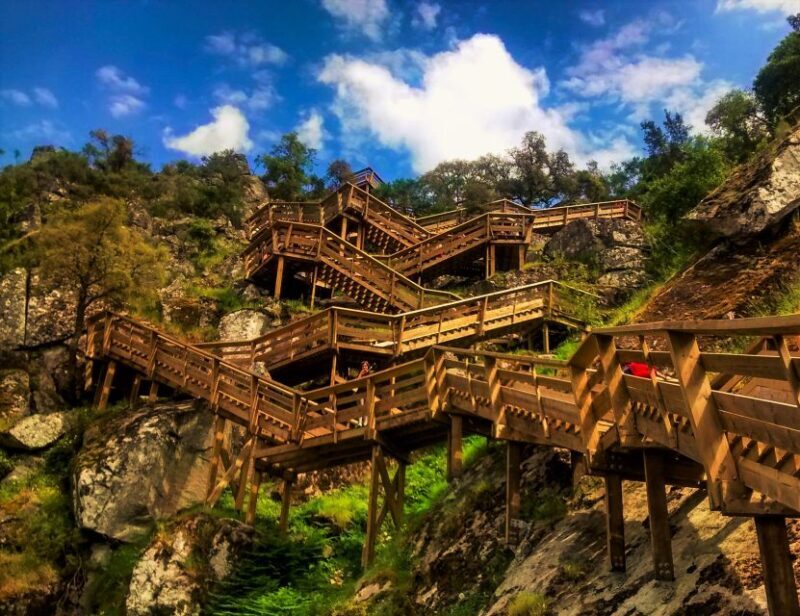 From Porto: Aveiro, Paiva Walkways, & Suspension Bridge Tour - Lunch: A Taste of Local Flavors