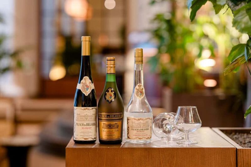 From Porto: Brejoeira Palace Visit, Tasting, and Lunch - Key Points