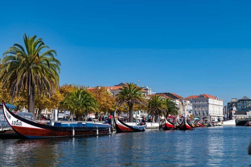 From Porto: Coimbra, Aveiro and Costa Nova Day Tour - FAQs