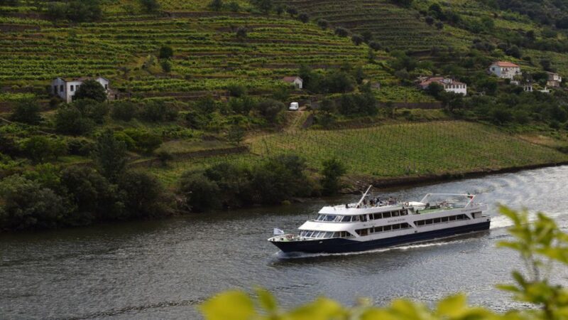From Porto: Douro River Cruise, Winery Visit & Lunch - Practical Tips for a Smooth Experience