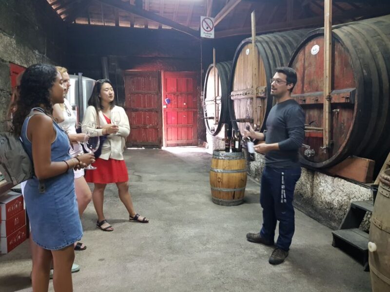 From Porto: Douro Valley 3 Vineyards Tour with Lunch - An In-Depth Look at the Douro Valley Tour