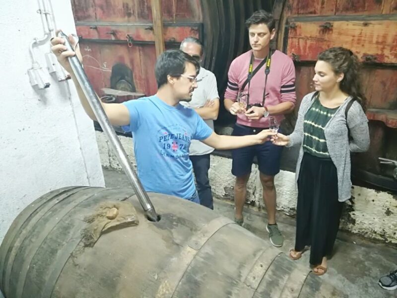 From Porto: Douro Valley 3 Vineyards Tour with Lunch - Evaluating the Value