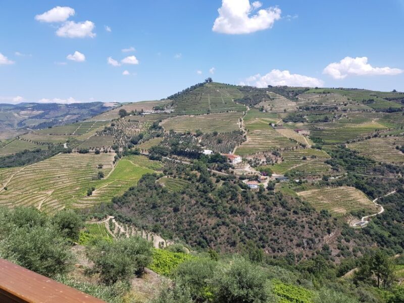 From Porto: Douro Valley 3 Vineyards Tour with Lunch - FAQ
