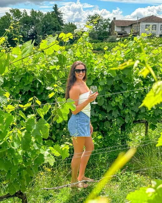 From Porto: Douro Valley Private Tour w/ 3 Wineries & Lunch - Discover the Authentic Charm of Portugal’s Douro Valley with a Private Tour