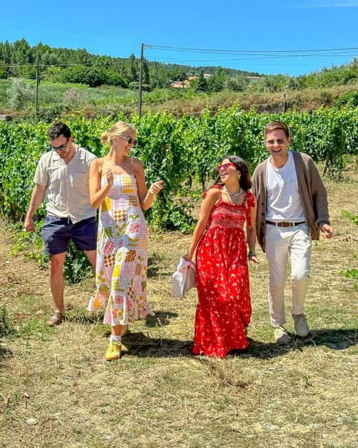 From Porto: Douro Valley Private Tour w/ 3 Wineries & Lunch - Key Points