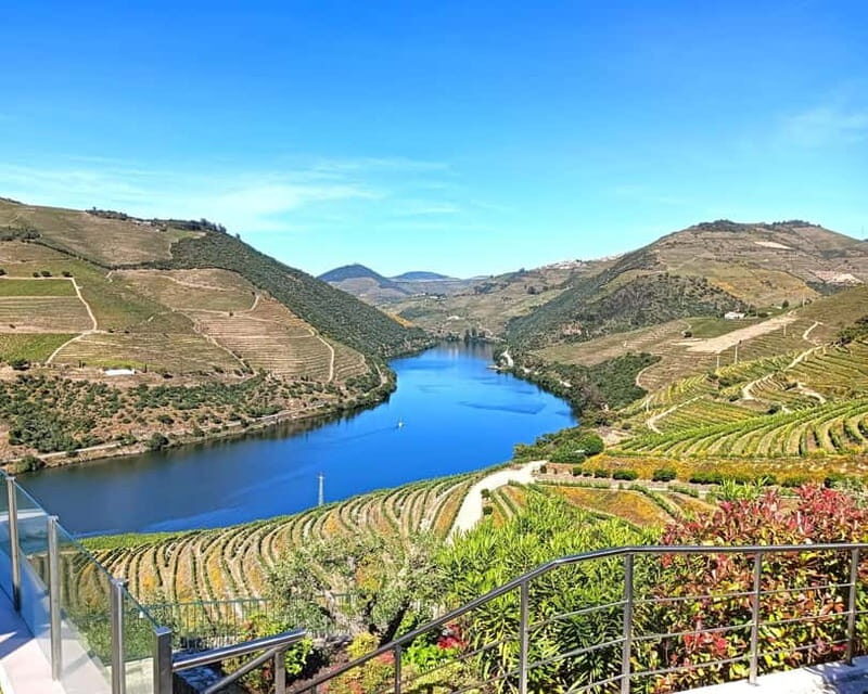 From Porto: Douro Valley Private Tour w/ 3 Wineries & Lunch - Why This Tour Is a Great Choice