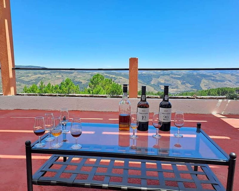 From Porto: Douro Valley Private Tour w/ 3 Wineries & Lunch - Final Thoughts: Who Will Love This Tour?