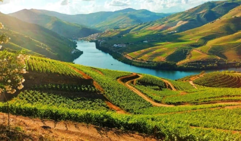 From Porto: Douro Valley Tour - Key Points