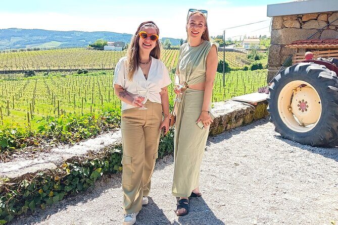 From Porto: Douro Valley Tour with 2 Wineries, Lunch and Cruise - The Final Highlights: Viewpoints and Photography