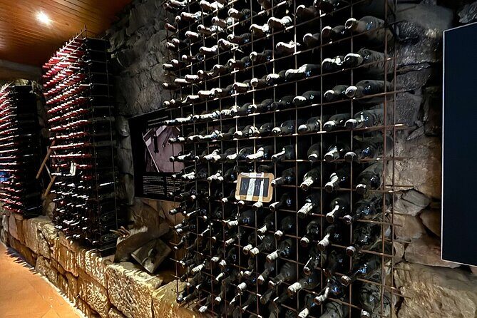 From Porto: Douro Valley Tour with 2 Wineries, Lunch and Cruise - Practical Details and Value