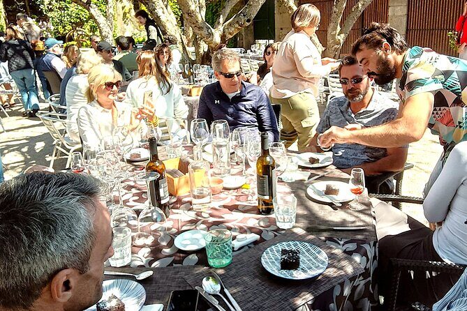 From Porto: Douro Valley Tour with 2 Wineries, Lunch and Cruise - The Sum Up: Is This Tour Right for You?