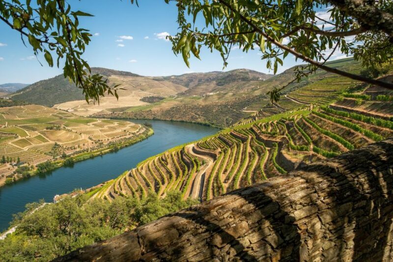 From Porto: Douro Valley Tour with Tastings, Boat & Lunch - The Experience Guides & Reviews