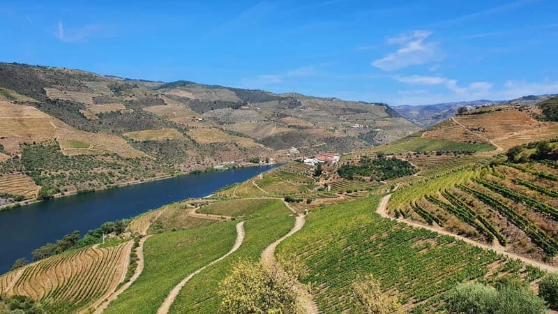 From Porto: Douro Valley Wine Tasting Tour With Hotel Pickup - A Feast for the Senses: Lunch