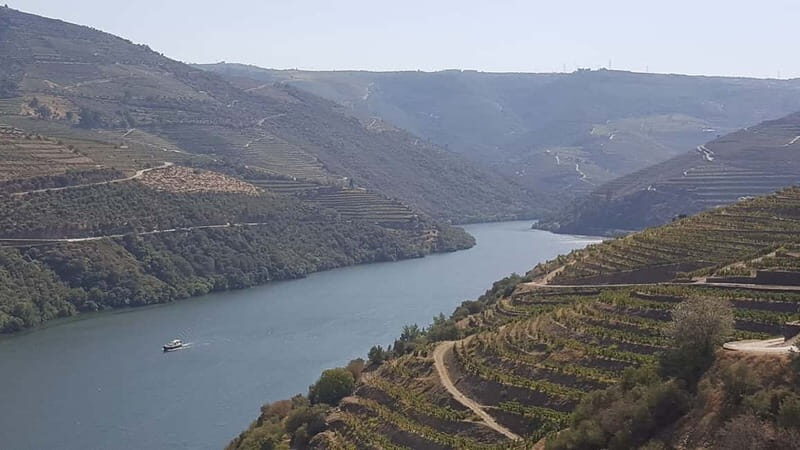 From Porto: Douro Valley Wine Tasting Tour With Hotel Pickup - A Scenic Boat Ride Along the Douro River