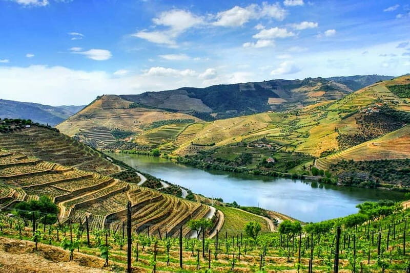 From Porto: Douro Valley with Wineries, Lunch and Boat Trip - Key Points