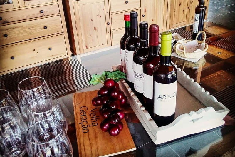 From Porto: Douro Valley with Wineries, Lunch and Boat Trip - Who Should Book This Tour?