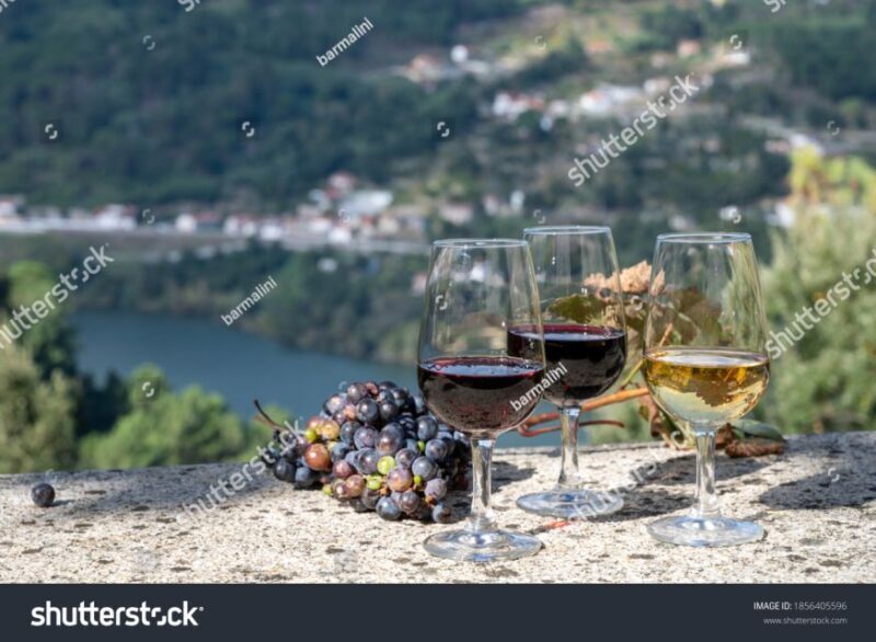 From Porto: Full-Day Douro Historical Tour - An In-Depth Look at the Douro Full-Day Tour