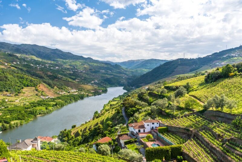 From Porto: Full-Day Douro Historical Tour - Real Traveler Insights and Experience